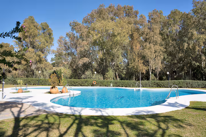 6d477d3c-ce37-4aeb-9fa4-25a373b5381f (1)