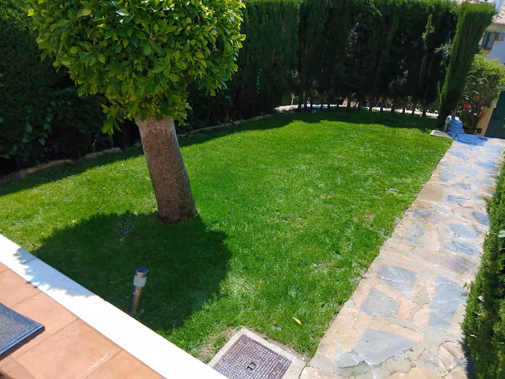 c4a16900-9ce7-43ba-abe4-9aefdc6806a9 (1)