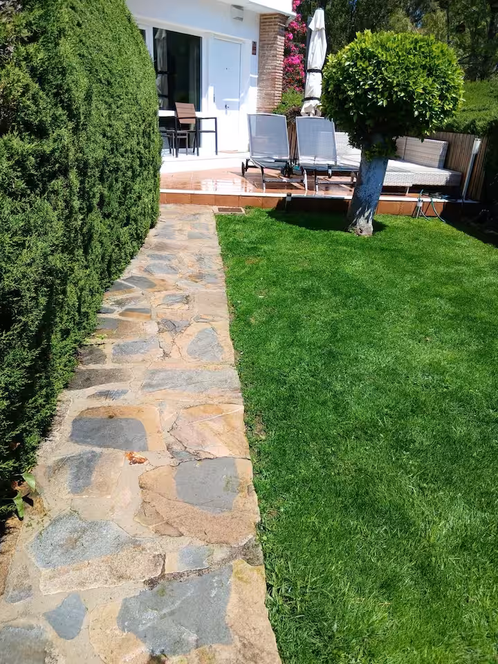 ca6ba5b6-d77d-4f3b-96c3-c6b27fda22ca (1)